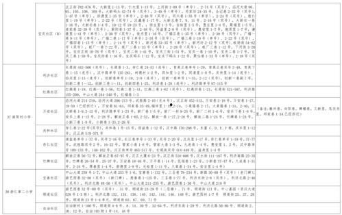 白树最新爆料视频大全,揭秘幕后真相与精彩瞬间