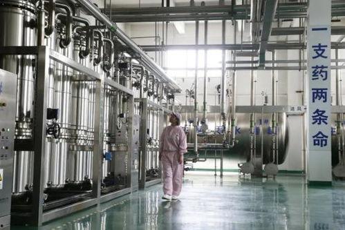石家庄药厂最新爆料,突破性研究成果震撼医药界