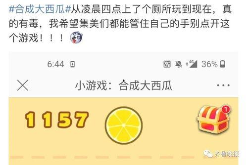 今日西瓜爆料最新消息,最新瓜界动态，揭秘今日热点事件