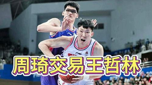 王哲林爆料视频最新,篮球生涯背后的心路历程与励志故事