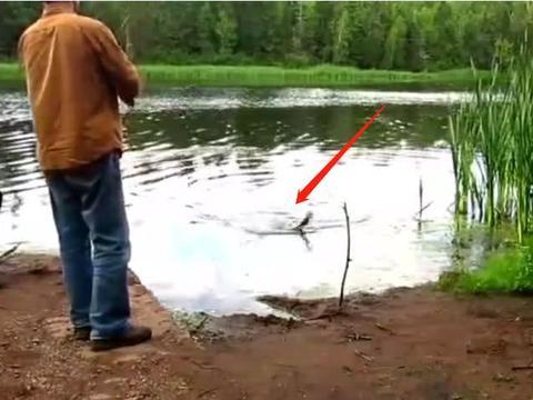 钓鱼爆料视频最新版大全,揭秘钓鱼技巧与实战经验汇总