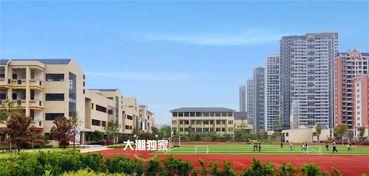 韶关学院爆料事件最新进展,最新进展揭示惊人内幕